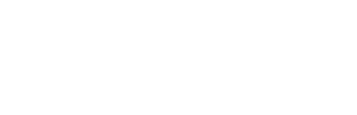 Logo solutions: essentials